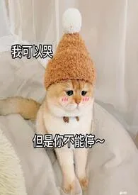 做爸爸的情人(父女H)1970全章节阅读 做爸爸的情人(父女H)小说免费阅读