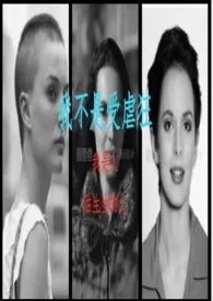 我不是受虐狂(虐男 BG NP GL 友情向)作者:豆冰北乐蒂 全本免费阅读