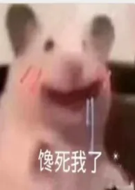 春满园(NP)2024全章节阅读 春满园(NP)小说免费阅读