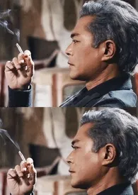 柒柒著作《最后的机会(九龙城寨同人*龙卷风梦女短篇)》小说全文阅读