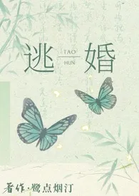 《逃婚后去往何处(NPH)》2024版小说全集 鹭点烟汀完本作品