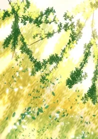 2025全新版本《阴暗普女，但第三者》 欺花作品完结免费阅读