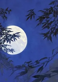 夜潮2025全章节阅读 夜潮小说免费阅读