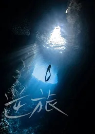 《逆旅》2025最新章节 逆旅免费阅读