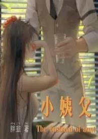 小姨父2025全章节阅读 小姨父小说免费阅读