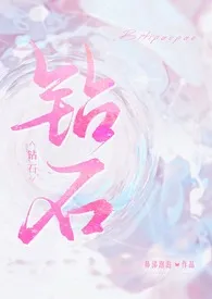 钻石(np)作者:鼻涕泡泡 全本免费阅读
