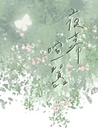 夜幕喧嚣小说完结版免费阅读（作者：月然）