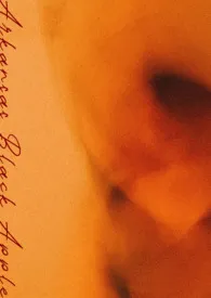 逗号著作《阿肯色黑苹果（伪骨）》小说全文阅读