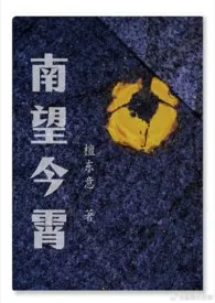 南望今霄(1V2)2025全章节阅读 南望今霄(1V2)小说免费阅读