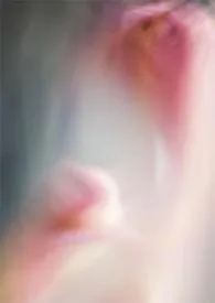 周从后著作《人缘鸟与蝶豆花·春山绿》小说全文阅读