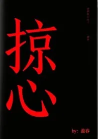 掠心作者：盈春 全本免费阅读