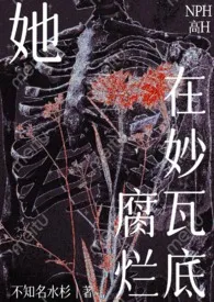 不知名水杉著作《她在妙瓦底腐烂（NPH）》小说全文阅读