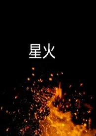 星火2025全章节阅读 星火小说免费阅读