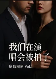 危情关系 Vol.1|CEO × HR偷情事件簿作者:幽灯之语 全本免费阅读